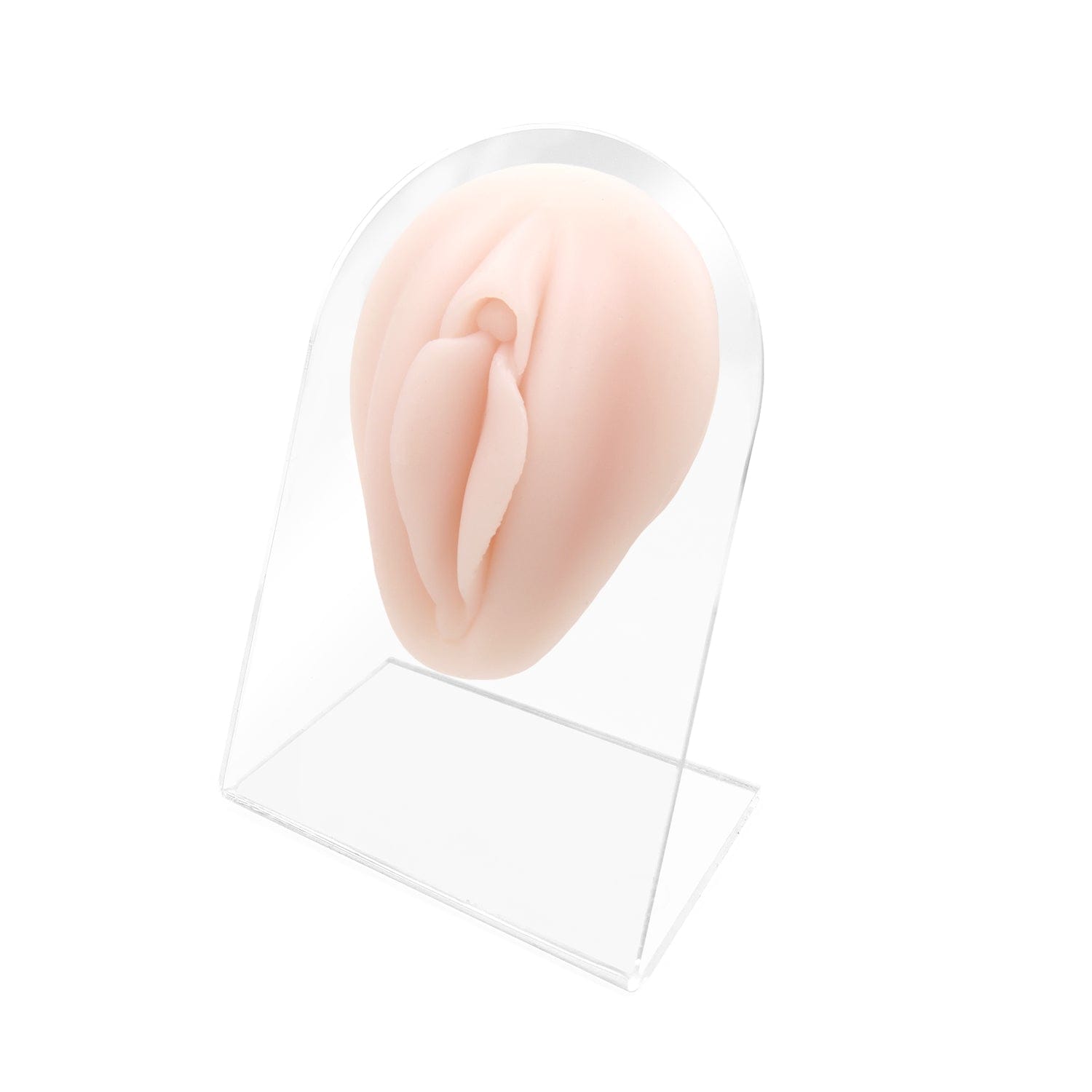 Warrior SP-09 3D Genitale Femminile Vagina Sintetico in Silicone per Pratica Piercing
